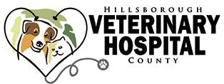 Link to Homepage of Hillsborough County Veterinary Hospital