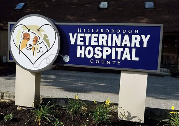hillsborough vet