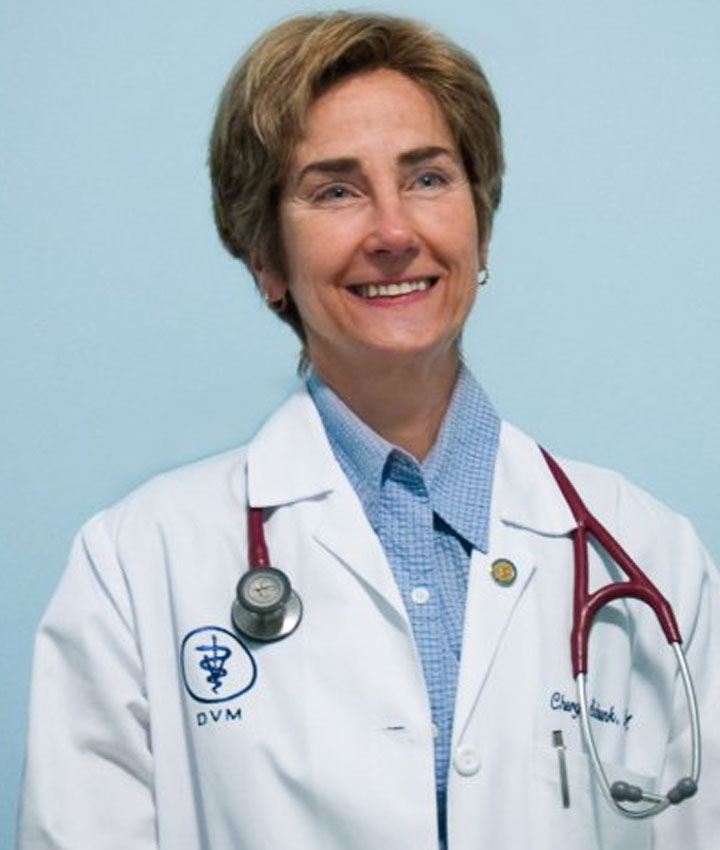 Dr. Cheryl Schunk, DVM, Diplomate ACVS